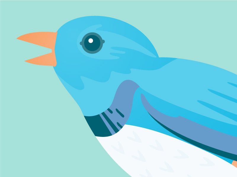 Haft2 Twitter Bird Avatar